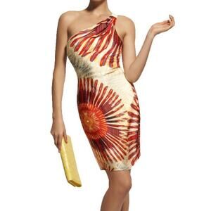 J. Hoaglund Starburst Multicolor Satin Silk One Shoulder Mini Cocktail Dress